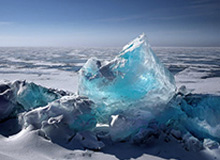 黄金潘达利亚宝箱现身商人列表，但究竟该如何解锁？